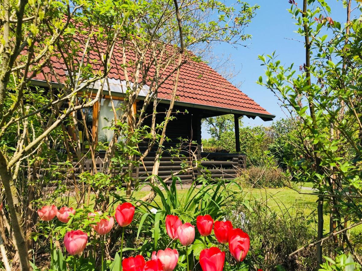 Weilerswist Eifel-Lounge Blockhaus Mit Kamin Garten Balkon Nahe Koeln Therme Bruehl Phantasialand מראה חיצוני תמונה
