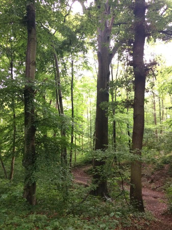Weilerswist Eifel-Lounge Blockhaus Mit Kamin Garten Balkon Nahe Koeln Therme Bruehl Phantasialand מראה חיצוני תמונה